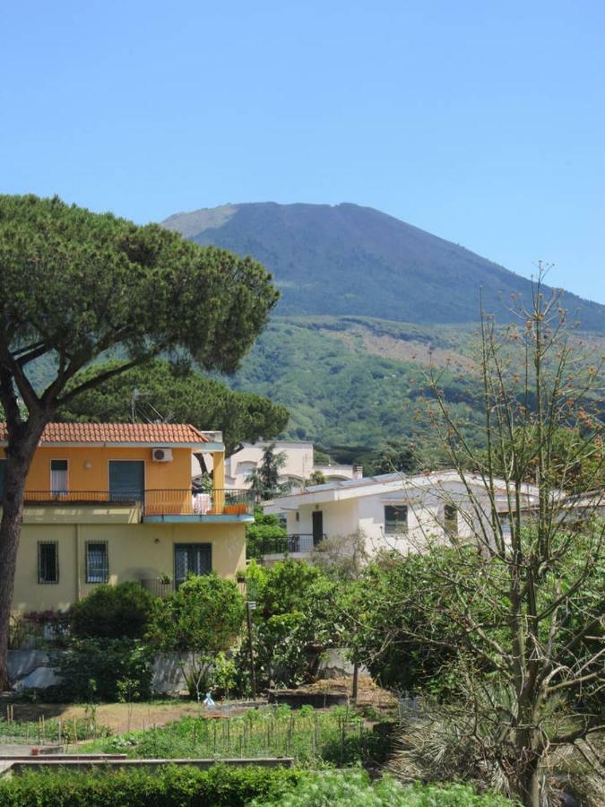 Casa Del Cappero Διαμέρισμα Τόρρε ντελ Γκρέκο Εξωτερικό φωτογραφία